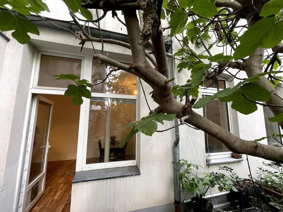 Cosy & Central Flat Near Duesseldorf Center Esterno foto
